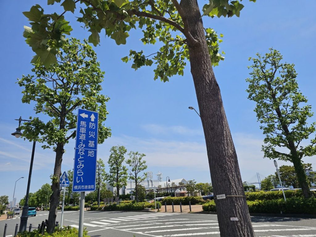imgi_12_ico_male01